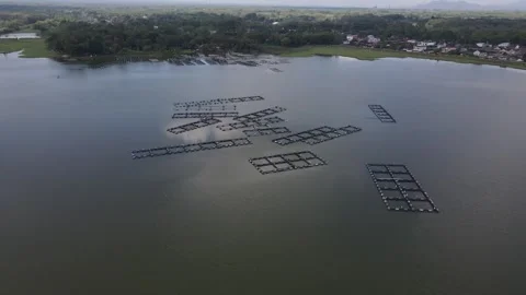 Aerial view of fish ponds in the middle of the Mulur Reservoir. This Dutch Stock Footage 337911605