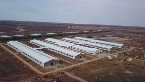 Aerial view of five cattle- breeding farm complexes Stock Footage 126312182