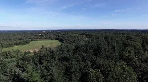 Aerial view of flat forest landscape Stock Footage 60255758