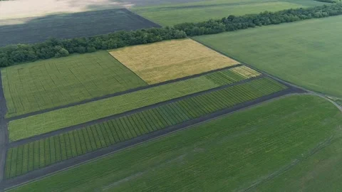Aerial view of the flat lined fields of agricultural farmland. rural roads. Stock Footage 157497840