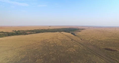 Aerial view of flat plain terrain, meadows in Ukraine Stock Footage 106905134