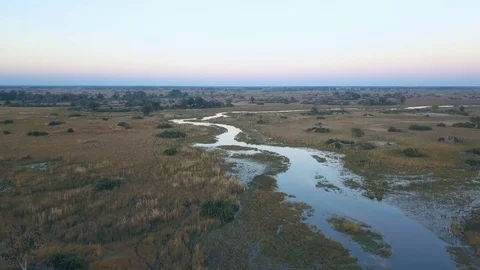 Aerial view of flat shallow river in the Okavango delta at the crack of dawn Video stock 80866661