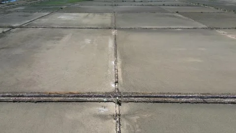 Aerial view of the flat, square geometry of the salt fields Stock Footage 284631285