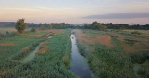 Aerial view: flight above a small river among the marshes and meadow. Stock Footage 135893331