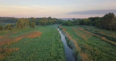 Aerial view: flight above a small river among the marshes and meadow. Video stock 135893351