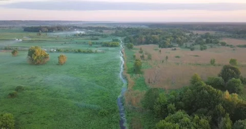 Aerial view: flight above a small river among the marshes and meadow. Video stock 135893910