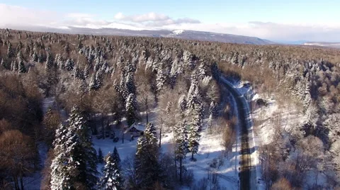 Aerial View Flight Above Winter Forest 18 Stock Footage 59554733