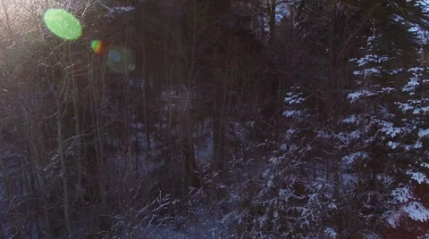Aerial View Flight Above Winter Forest 21 Stock Footage 59666134