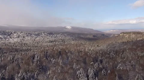 Aerial View Flight Above Winter Forest 27 Stock Footage 59670075
