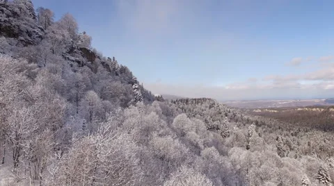 Aerial View Flight Above Winter Forest 29 Stock-Footage 59671925