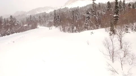 Aerial View Flight Above Winter Forest 31 Stock Footage 59673111