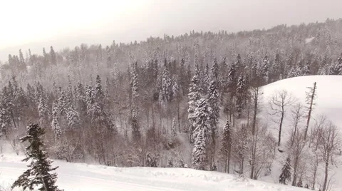 Aerial View Flight Above Winter Forest 32 Stock Footage 59673169