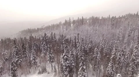 Aerial View Flight Above Winter Forest 33 Stock Footage 59673827