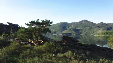 Aerial view. Flight between spreading pine tree and rocks to the mountain lake. Stock Footage 142193456