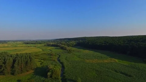 Aerial view - the flight of the drone over the green forest and the field. Vídeos de archivo 74938754