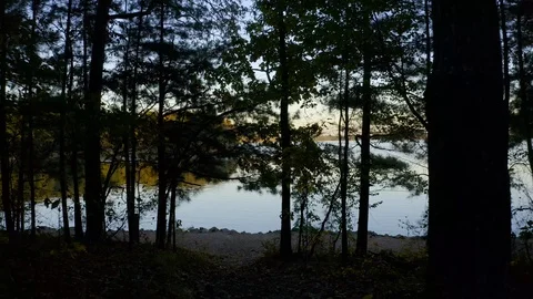 Aerial view of a flight low between the trees towards a large lake at sunset. 動画素材 119188489
