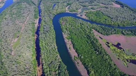 Aerial View: Flight over the amazing river and green forest Stock Footage 83626432