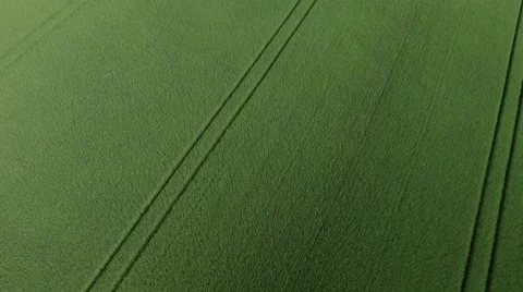Aerial view flight over beautiful  Wheat Field  in germany Stock Footage 63613379