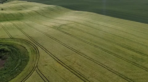 Aerial view - Flight Over beautiful Agricultural Fields in germany - bird view Stock Footage 63882144