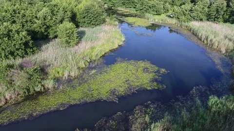 Aerial view. Flight over beautiful river Stock Footage 77721394