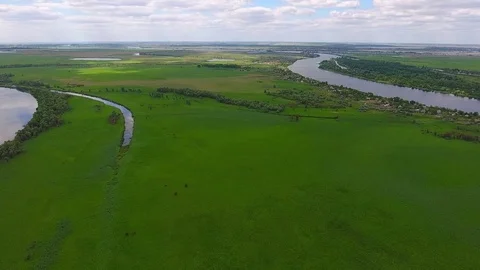 Aerial view. Flight over the delta of the river in a summer day. Stock Footage 83261540