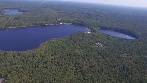 Aerial view flight over dense forest tree tops with lakes slow motion green moss Stock Footage 90928787