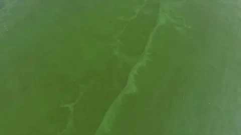 Aerial View Flight Over Dirty Water Video stock 70841938