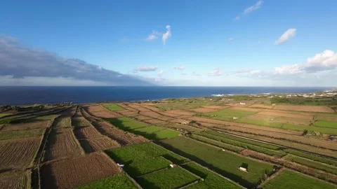 Aerial view flight over fields land  and atlantic ocean Island Azores Stock Footage 221559838