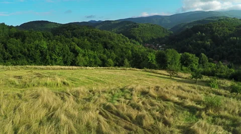 AERIAL view. Flight over forest in mountains Stock Footage 54539361