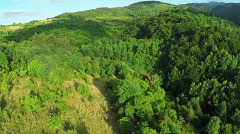 AERIAL view. Flight over forest in mountains Stock Footage 54617540