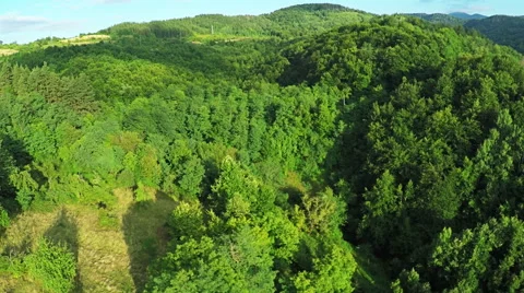 AERIAL view. Flight over forest in mountains Stock Footage 54619028