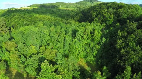 AERIAL view. Flight over forest in mountains Video stock 54620786