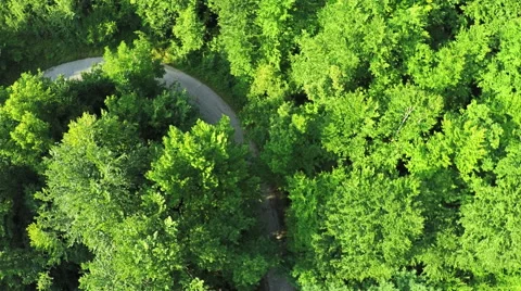 AERIAL view. Flight over forest in mountains Stock Footage 54622884