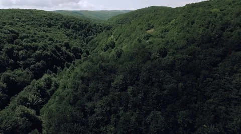 AERIAL view. Flight over forest road in mountains Video stock 68885296