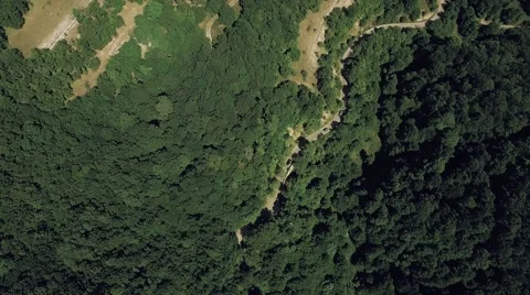AERIAL view. Flight over forest road in mountains Video stock 68887877