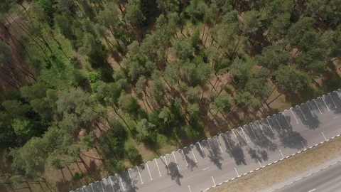 Aerial view. Flight over the forest and road Stock-Footage 90746934