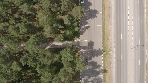 Aerial view. Flight over the forest and road Stock-Footage 90747429