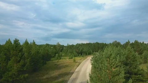 Aerial view, flight over the forest Stock Footage 94600176