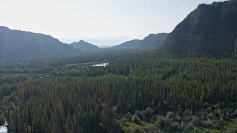 Aerial view flight over the forest river hills. Reflection of the sun's rays 4k Stock Footage 124826841