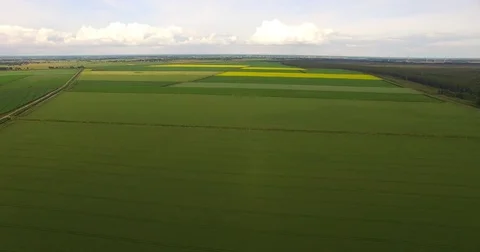 Aerial View. Flight over a green grassy fields Stock Footage 77680455