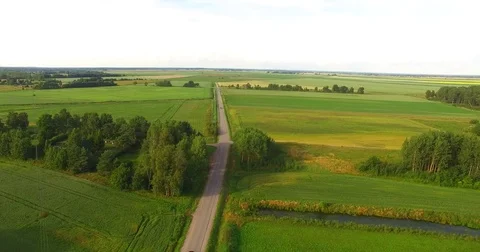 Aerial View. Flight over a green grassy fields Video stock 77681904