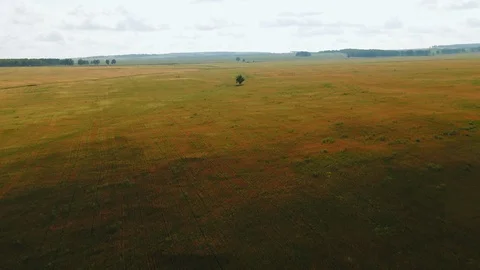 Aerial View. Flight over a green grassy rocky hills. Altai Mountains, Siberia Stock-Footage 90054465