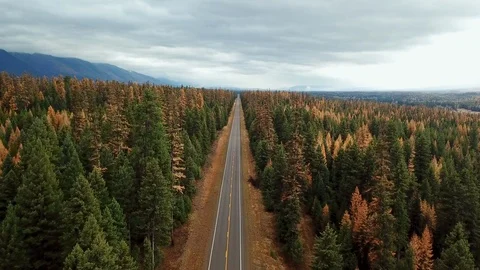 Aerial view:  Flight over highway in the mountains of Montana in the fall Stock Footage 100379300