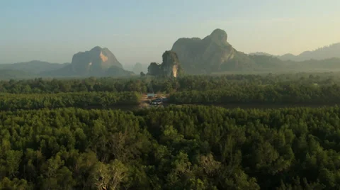 Aerial View: Flight over Krabi river mangrove forest, Southern Thailand Stock Footage 37130416