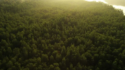 Aerial View: Flight over Krabi river mangrove forest, Southern Thailand Stock Footage 37147921