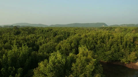 Aerial View: Flight over Krabi river mangrove forest, Southern Thailand Stock Footage 37204796