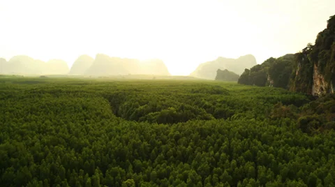 Aerial View: Flight over Krabi river mangrove forest, Southern Thailand Stock Footage 37328893