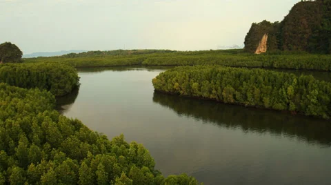 Aerial View: Flight over Krabi river mangrove forest, Southern Thailand Stock Footage 37328916