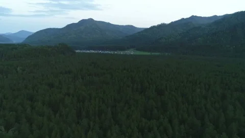 Aerial View. Flight over the Mountain Valley. Evening Altai. Siberia Stock Footage 91519189