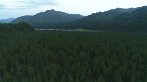 Aerial View. Flight over the Mountain Valley. Evening Altai. Siberia Stock Footage 91519224
